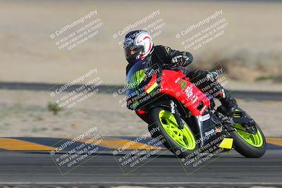 media/Feb-04-2023-SoCal Trackdays (Sat) [[8a776bf2c3]]/Turn 4 (Tree of Life 2pm)/